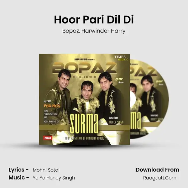 Hoor Pari Dil Di mp3 song