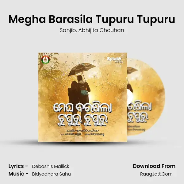 Megha Barasila Tupuru Tupuru mp3 song