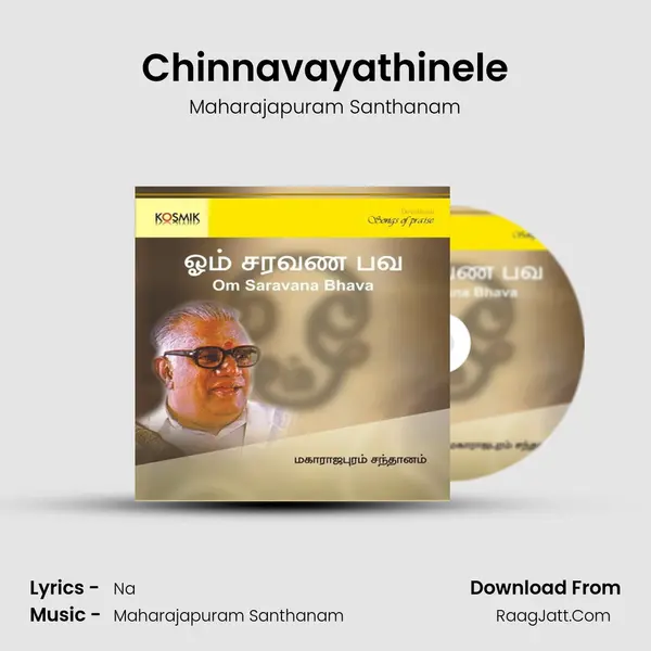 Chinnavayathinele Song mp3 | Maharajapuram Santhanam