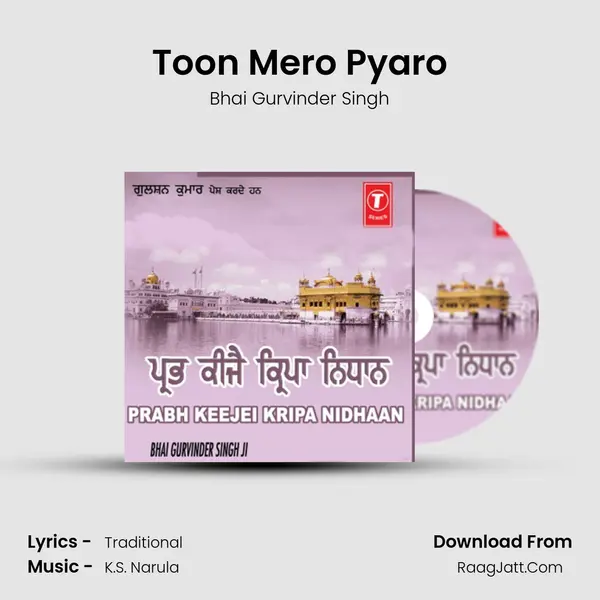 Toon Mero Pyaro mp3 song