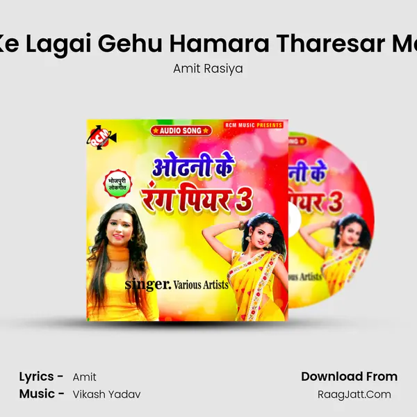 Ke Lagai Gehu Hamara Tharesar Me Song mp3 | Amit Rasiya