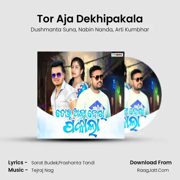 Tor Aja Dekhipakala mp3 song