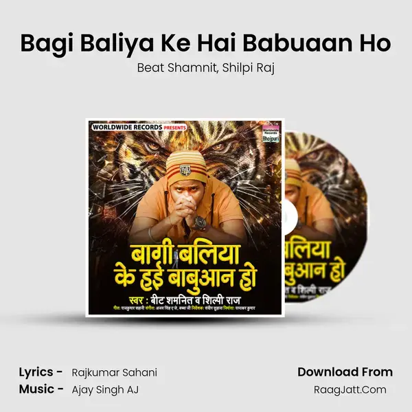 Bagi Baliya Ke Hai Babuaan Ho mp3 song