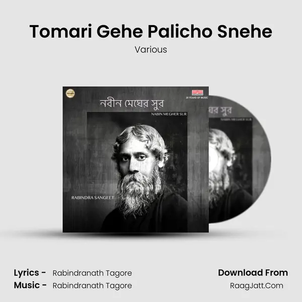 Tomari Gehe Palicho Snehe Song mp3 | Various