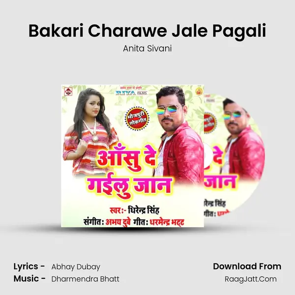 Bakari Charawe Jale Pagali mp3 song