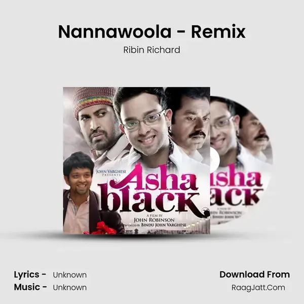 Nannawoola - Remix Song mp3 | Ribin Richard