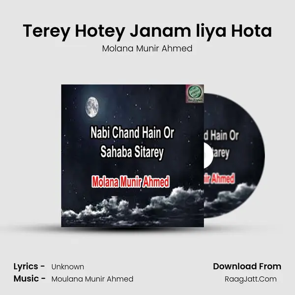 Terey Hotey Janam liya Hota mp3 song