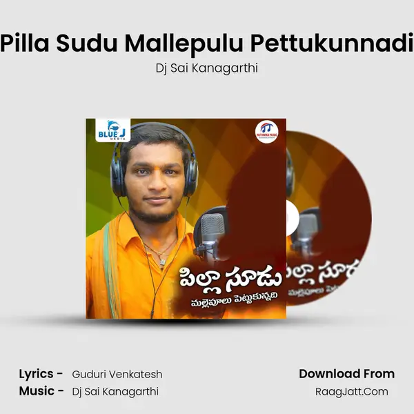 Pilla Sudu Mallepulu Pettukunnadi mp3 song