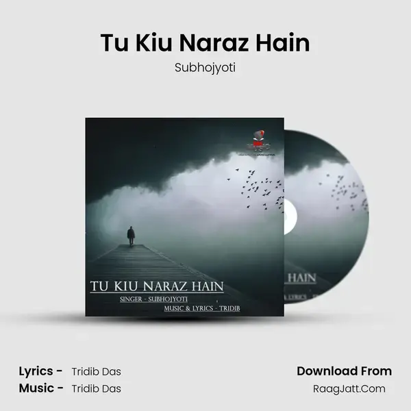 Tu Kiu Naraz Hain mp3 song