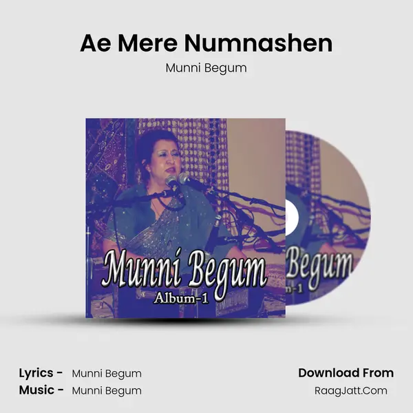 Ae Mere Numnashen Song mp3 | Munni Begum