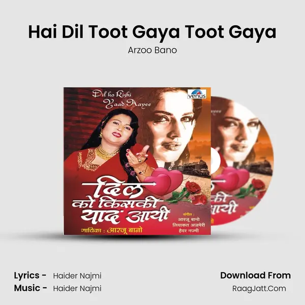 Hai Dil Toot Gaya Toot Gaya Song mp3 | Arzoo Bano