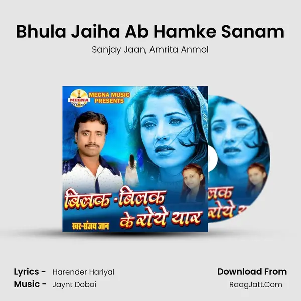 Bhula Jaiha Ab Hamke Sanam mp3 song