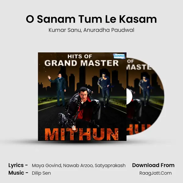 O Sanam Tum Le Kasam Song mp3 | Kumar Sanu