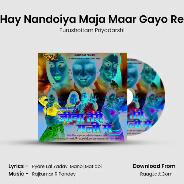 Hay Nandoiya Maja Maar Gayo Re mp3 song