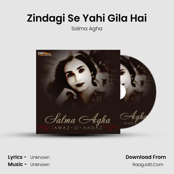 Zindagi Se Yahi Gila Hai Song mp3 | Salma Agha