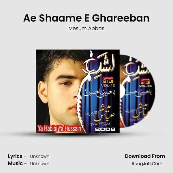 Ae Shaame E Ghareeban Song mp3 | Mesum Abbas