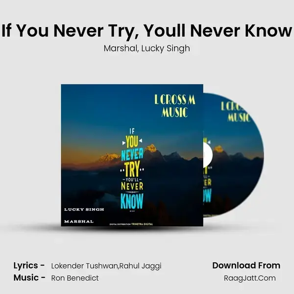 If You Never Try, You'll Never Know mp3 song