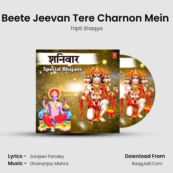 Beete Jeevan Tere Charnon Mein (From Beete Jeevan Tere Charnon Mein) mp3 song