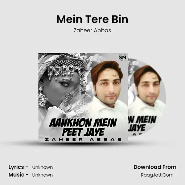 Mein Tere Bin mp3 song