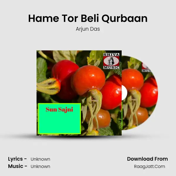 Hame Tor Beli Qurbaan mp3 song