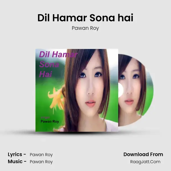 Dil Hamar Sona hai mp3 song