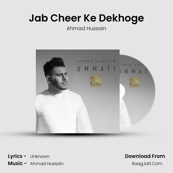 Jab Cheer Ke Dekhoge mp3 song