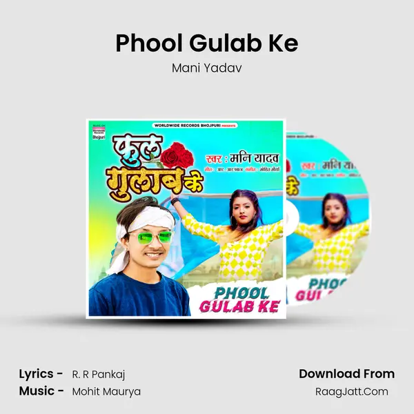 Phool Gulab Ke mp3 song