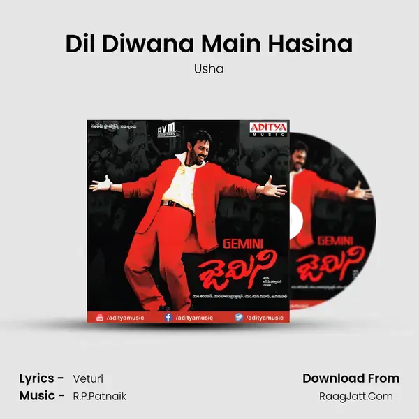 Dil Diwana Main Hasina Song mp3 | Usha