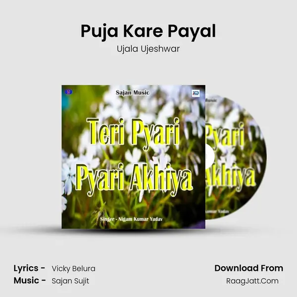 Puja Kare Payal Song mp3 | Ujala Ujeshwar