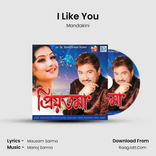 I Like You Song mp3 | Mandakini