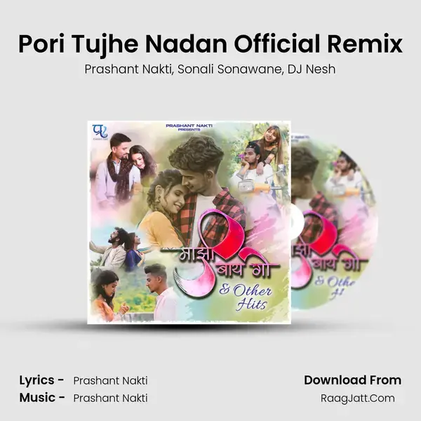 Pori Tujhe Nadan Official Remix mp3 song