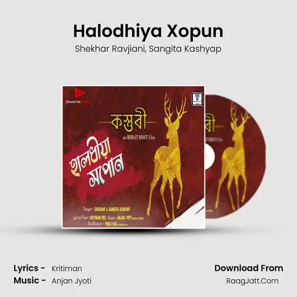 Halodhiya Xopun Song mp3 | Shekhar Ravjiani