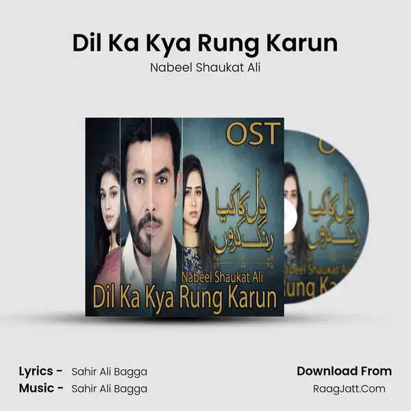 Dil Ka Kya Rung Karun Song mp3 | Nabeel Shaukat Ali