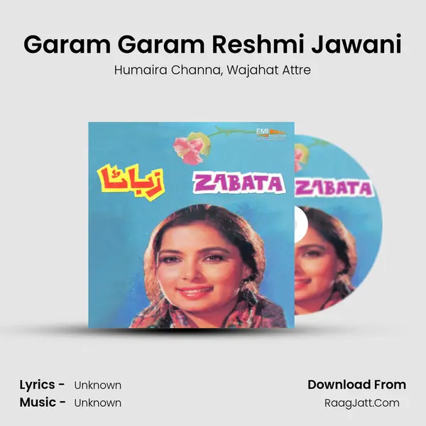 Garam Garam Reshmi Jawani mp3 song