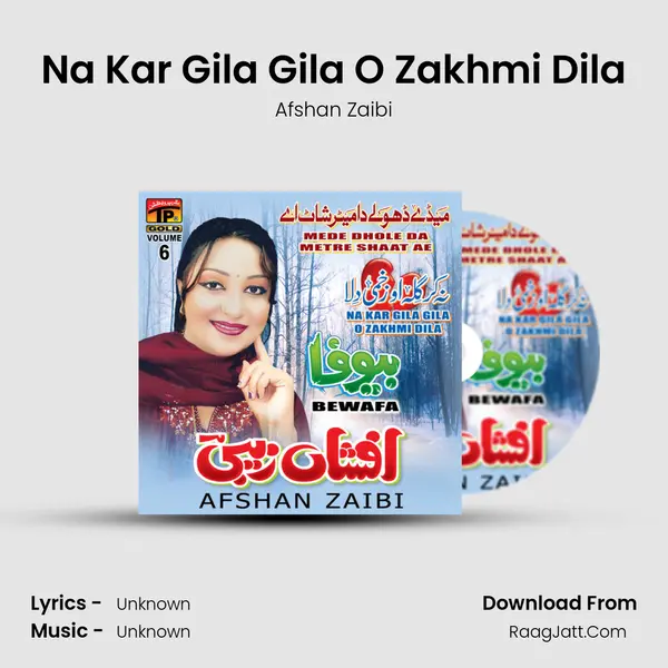 Na Kar Gila Gila O Zakhmi Dila Song mp3 | Afshan Zaibi