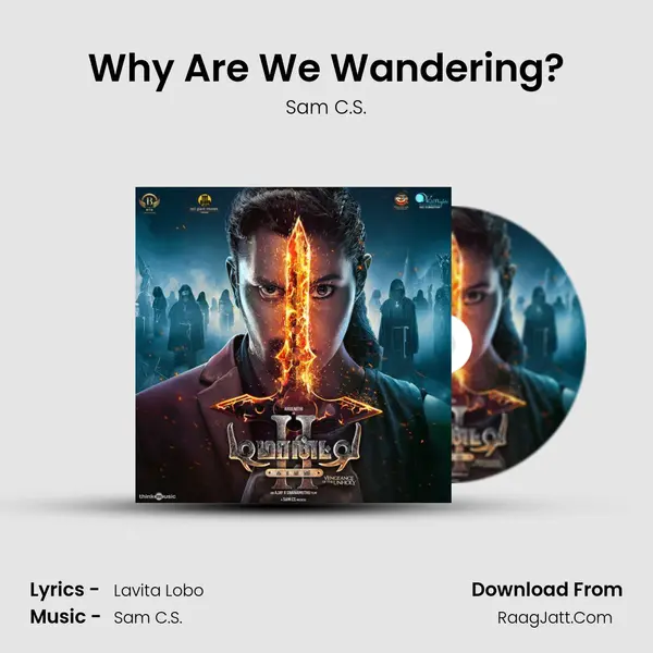 Why Are We Wandering? mp3 song