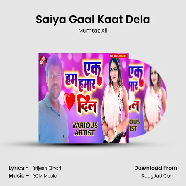 Saiya Gaal Kaat Dela mp3 song