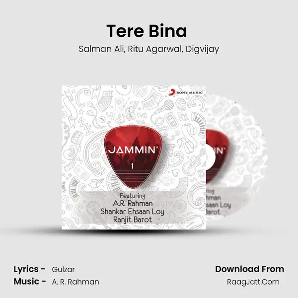 Tere Bina (Jammin') Song mp3 | Salman Ali