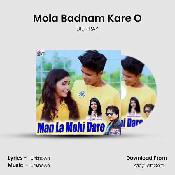 Mola Badnam Kare O Song mp3 | DILIP RAY