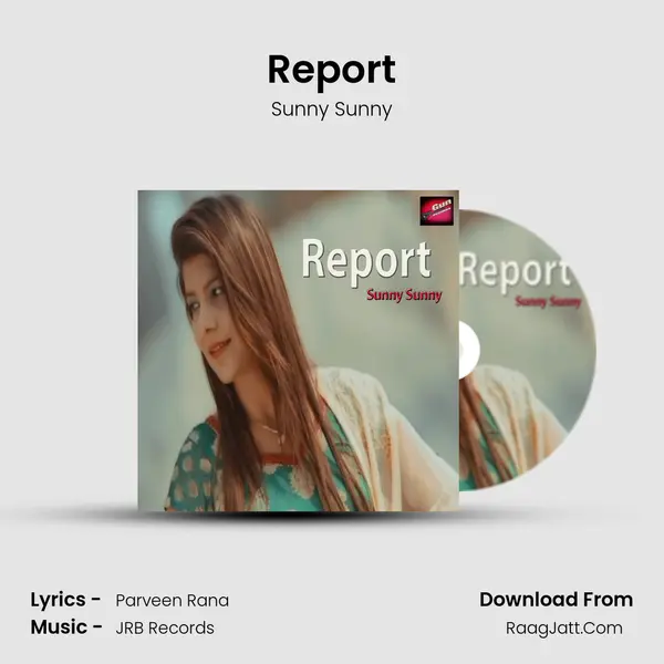 Report - Sunny Sunny