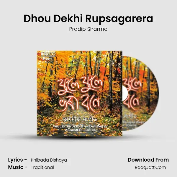 Dhou Dekhi Rupsagarera Song mp3 | Pradip Sharma