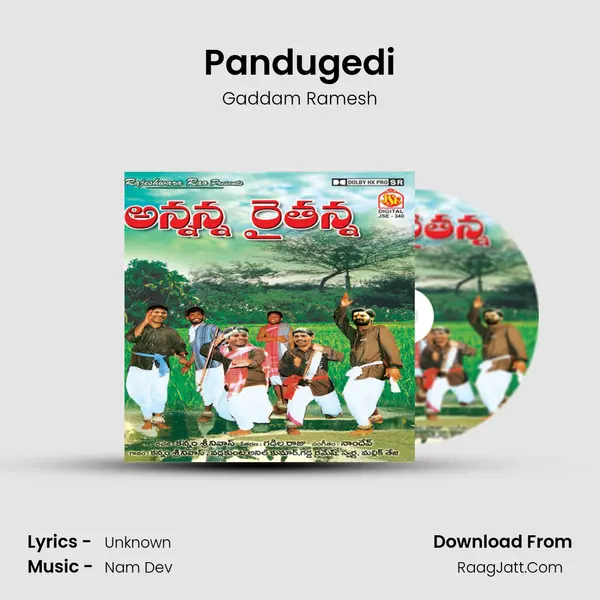 Pandugedi Song mp3 | Gaddam Ramesh