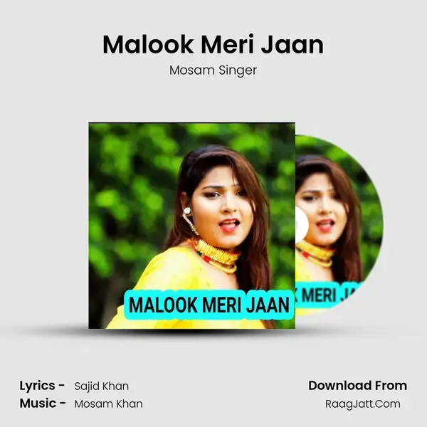 Malook Meri Jaan mp3 song