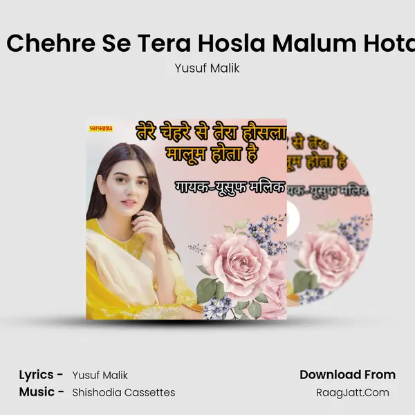 Tere Chehre Se Tera Hosla Malum Hota Hai mp3 song