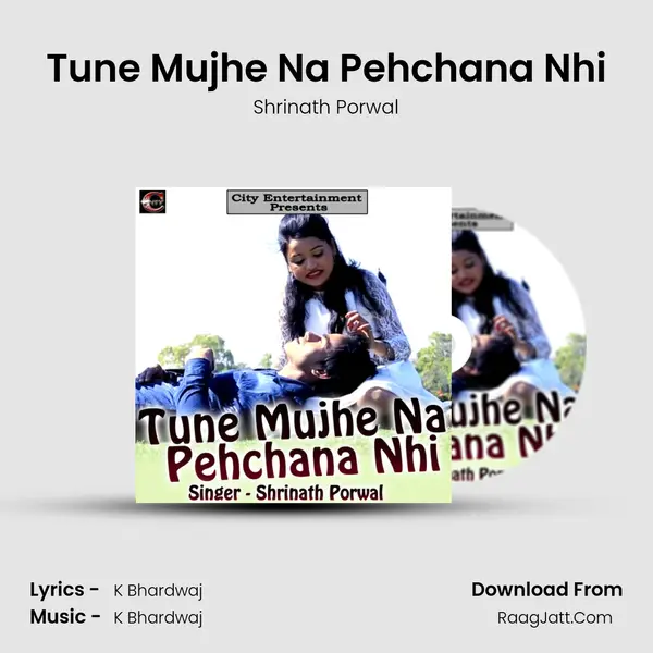 Tune Mujhe Na Pehchana Nhi mp3 song