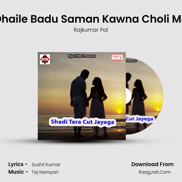 Dhaile Badu Saman Kawna Choli Me mp3 song