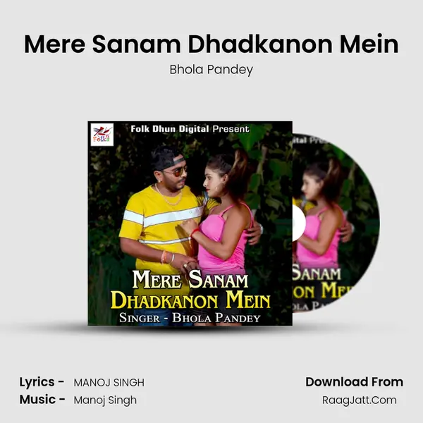 Mere Sanam Dhadkanon Mein mp3 song