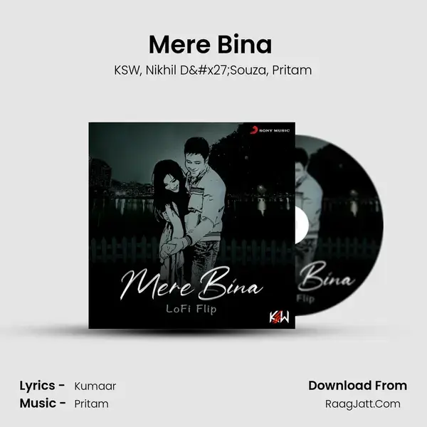 Mere Bina (Lofi Flip) mp3 song