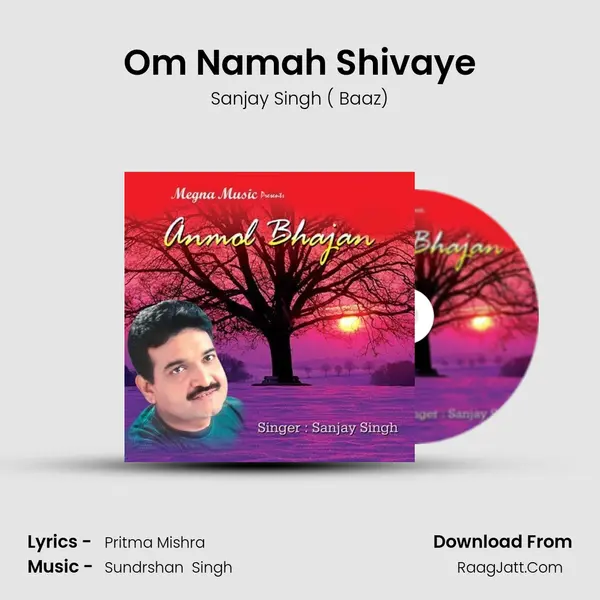 Om Namah Shivaye Song mp3 | Sanjay Singh ( Baaz)