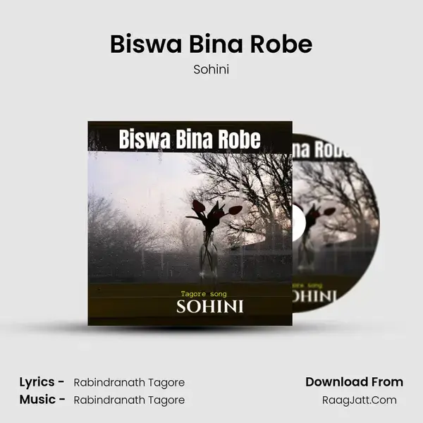 Biswa Bina Robe mp3 song